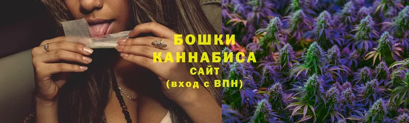 Каннабис White Widow  Алзамай 